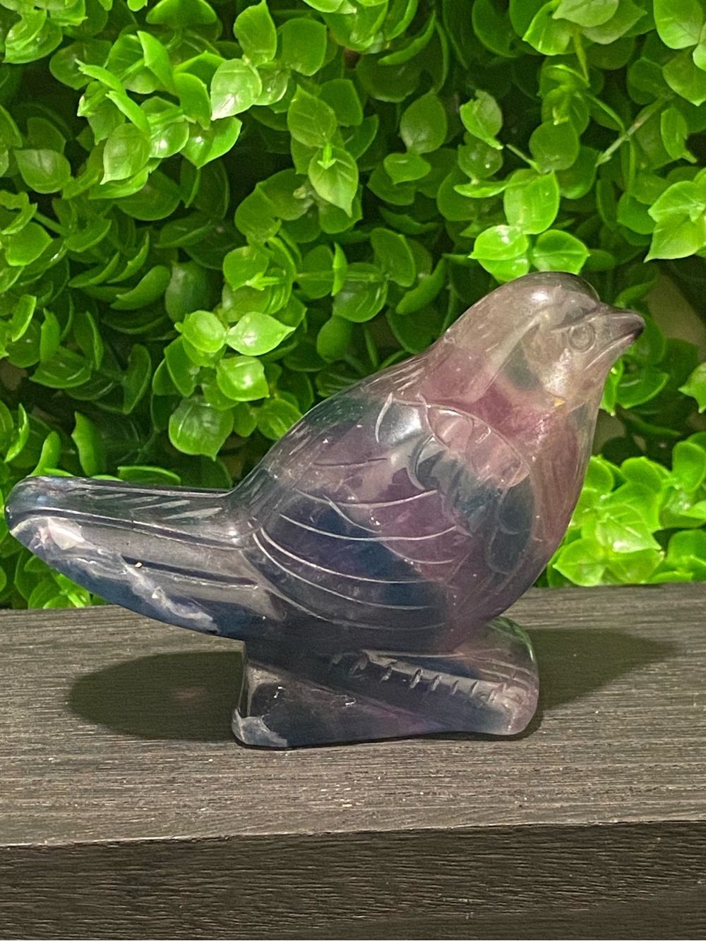 Fluorite Bird Craving